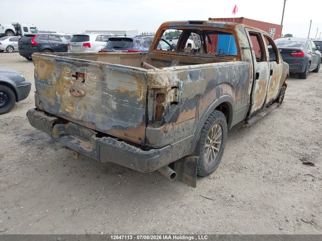 12647113 :رقم المزاد ، 1FTFW1ET6EFB52502 vin ، 2014 Ford F-150 Fx4/king Ranch/lariat/limited/platinum/xlt مزاد بيع