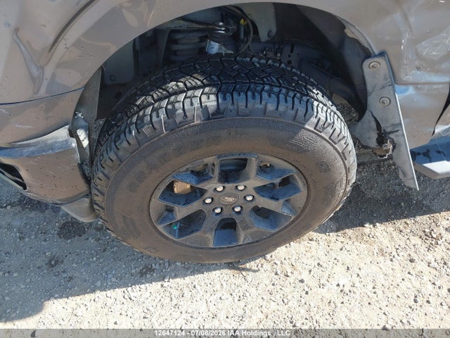 2024 Ford F-150 Stx მანქანა იყიდება აუქციონზე, vin: 1FTEW2LP4RFB14036, აუქციონის ნომერი: 12647124