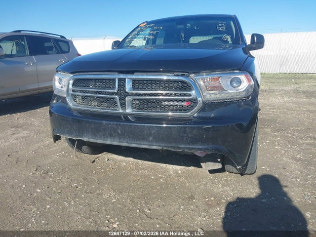Dodge DURANGO LIMITED 2014 1C4SDJDT7EC310045 Image 6