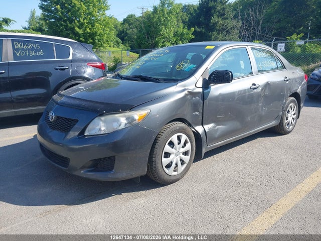 2010 Toyota Corolla Ce მანქანა იყიდება აუქციონზე, vin: 2T1BU4EE0AC330544, აუქციონის ნომერი: 12647134