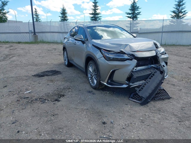 Продаж на аукціоні авто 2025 Lexus Nx 350h 350h, vin: 2T2GKCEZ7SC033907, номер лоту: 12647137