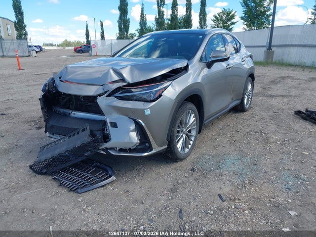 2T2GKCEZ7SC033907 Lexus Nx 350h 350h