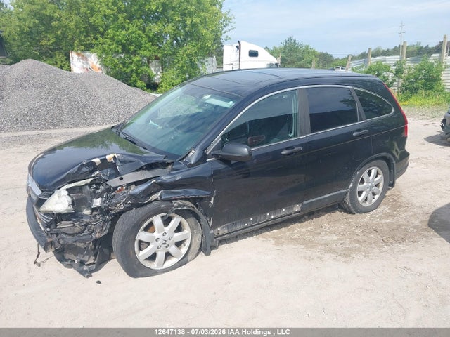 Продажа на аукционе авто 2008 Honda Cr-v Ex, vin: 5J6RE48548L818464, номер лота: 12647138