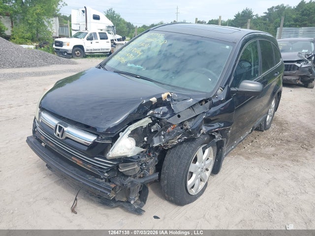 Продажа на аукционе авто 2008 Honda Cr-v Ex, vin: 5J6RE48548L818464, номер лота: 12647138