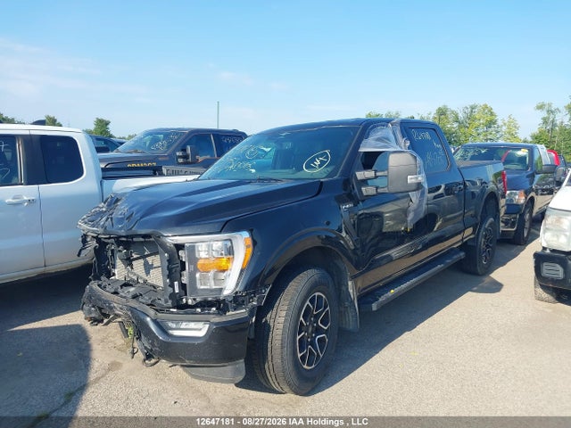 Ford F150 Supercrew 2023 1FTFW1E84PFA85705 Image 2