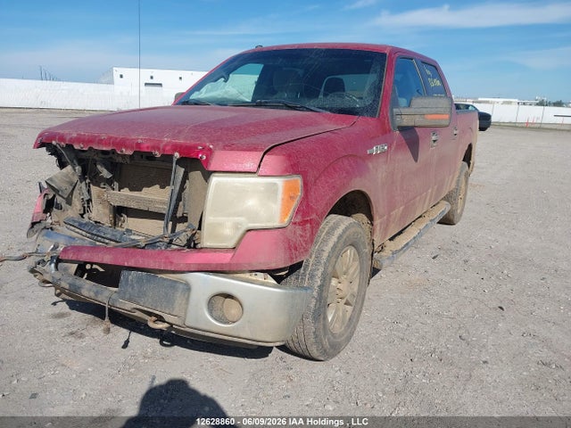 Продаж на аукціоні авто 2010 Ford F-150 Fx4/harley-davidson/king Ranch/lariat/platinum/xlt, vin: 1FTFW1EV8AFB89532, номер лоту: 12628860