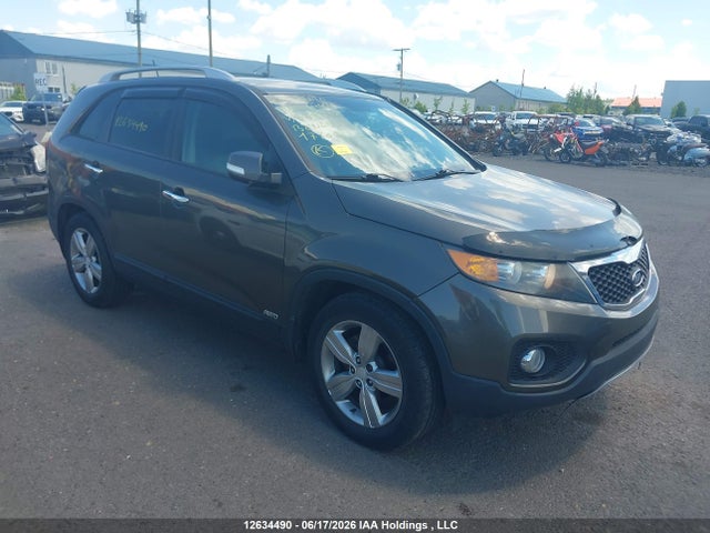 12634490 :رقم المزاد ، 5XYKUDA27DG359902 vin ، 2013 Kia Sorento Ex Luxury V6/ex V6 مزاد بيع
