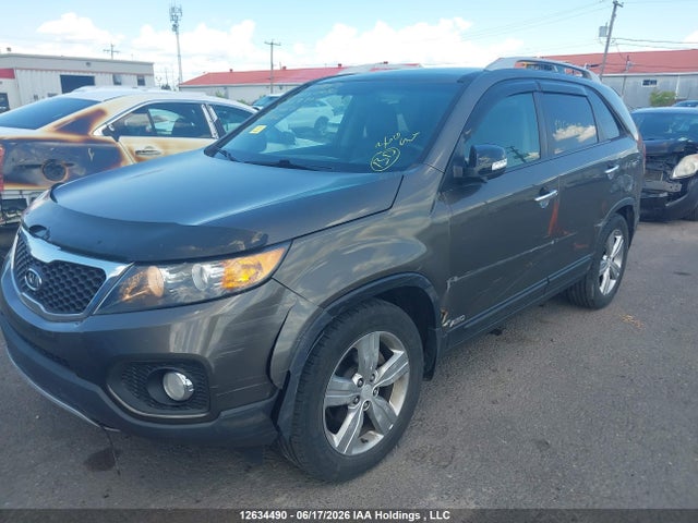 Продажа на аукционе авто 2013 Kia Sorento Ex Luxury V6/ex V6, vin: 5XYKUDA27DG359902, номер лота: 12634490