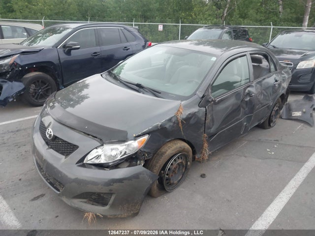 Продаж на аукціоні авто 2009 Toyota Corolla Ce, vin: 2T1BU40E89C092476, номер лоту: 12647237