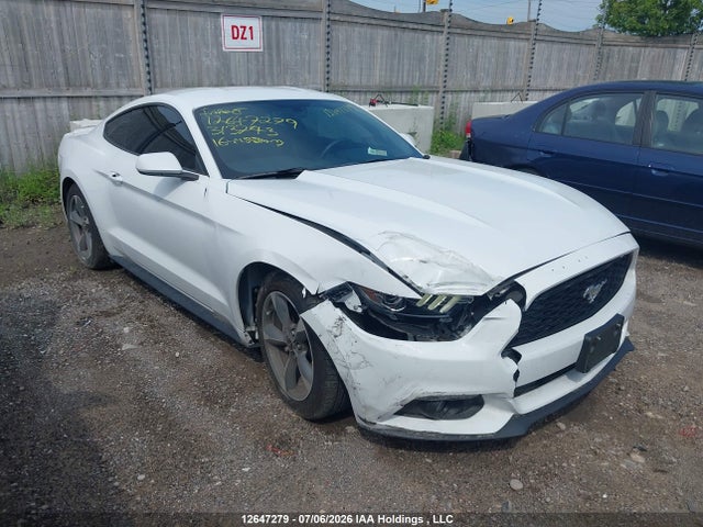 1FA6P8AM8G5313743 Ford Mustang