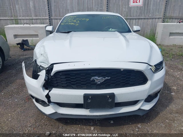 12647279 :رقم المزاد ، 1FA6P8AM8G5313743 vin ، 2016 Ford Mustang مزاد بيع