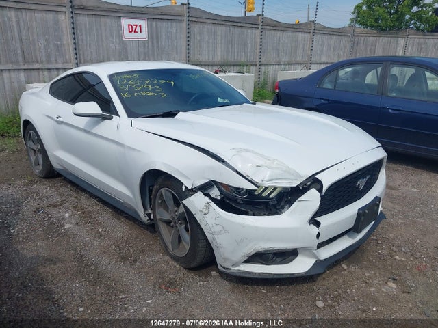12647279 :رقم المزاد ، 1FA6P8AM8G5313743 vin ، 2016 Ford Mustang مزاد بيع