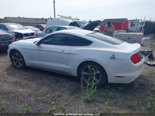 12647279 :رقم المزاد ، 1FA6P8AM8G5313743 vin ، 2016 Ford Mustang مزاد بيع