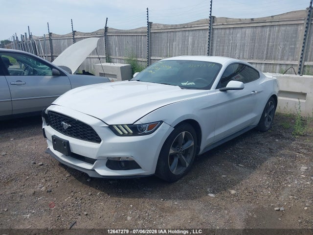 12647279 :رقم المزاد ، 1FA6P8AM8G5313743 vin ، 2016 Ford Mustang مزاد بيع