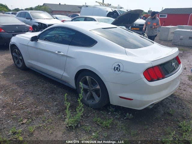 12647279 :رقم المزاد ، 1FA6P8AM8G5313743 vin ، 2016 Ford Mustang مزاد بيع