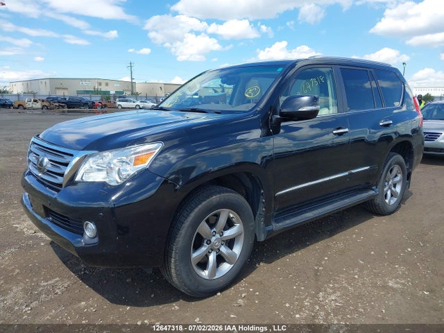 2012 Lexus Gx 460 Ultra Premium მანქანა იყიდება აუქციონზე, vin: JTJJM7FX9C5039521, აუქციონის ნომერი: 12647318