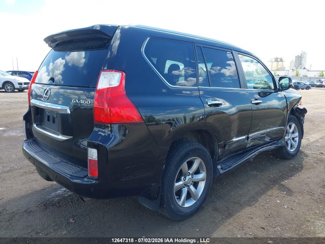 2012 Lexus Gx 460 Ultra Premium მანქანა იყიდება აუქციონზე, vin: JTJJM7FX9C5039521, აუქციონის ნომერი: 12647318