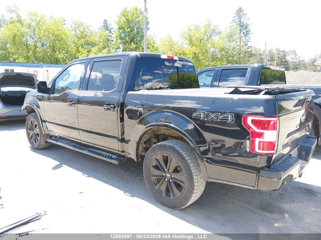 Ford F-150 Xlt 2020 1FTEW1EP4LFB57175 Image 15