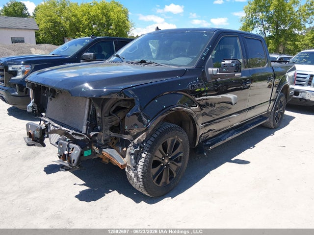Ford F-150 Xlt 2020 1FTEW1EP4LFB57175 Image 2