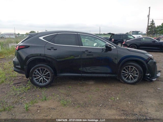 Lexus NX 350 2025 2T2GGCEZ4SC070933 Image 13