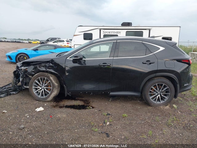 Lexus NX 350 2025 2T2GGCEZ4SC070933 Image 14