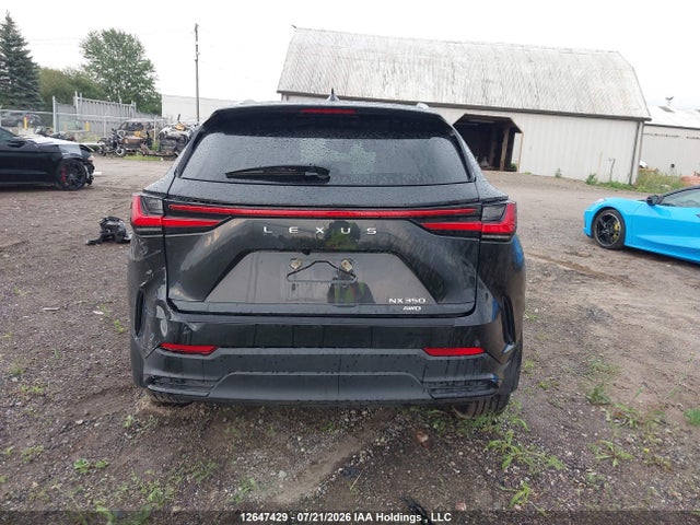 Lexus NX 350 2025 2T2GGCEZ4SC070933 Image 16