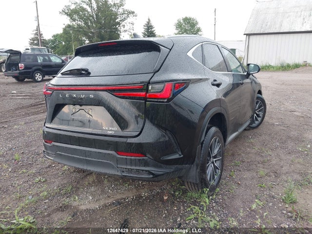 Lexus NX 350 2025 2T2GGCEZ4SC070933 Image 4