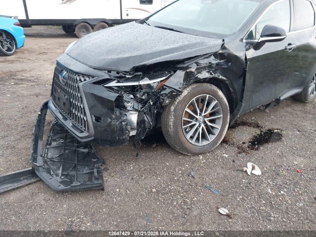 Lexus NX 350 2025 2T2GGCEZ4SC070933 Image 6