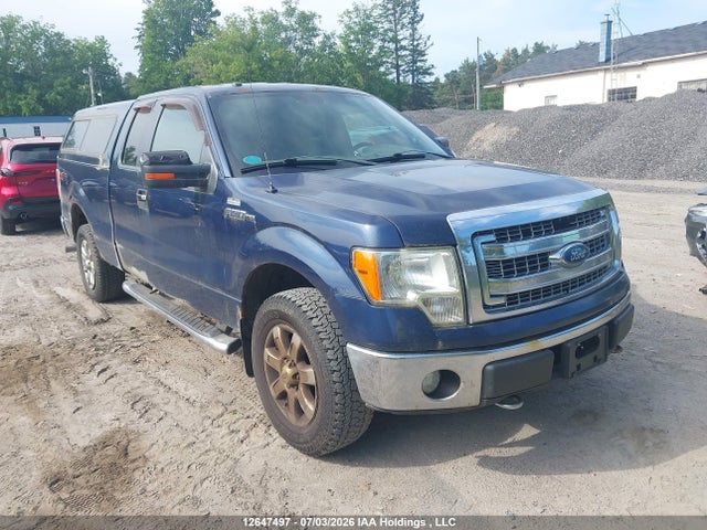 Auction sale of the 2013 Ford F-150, vin: 1FTFX1EF9DFC81775, lot number: 12647497