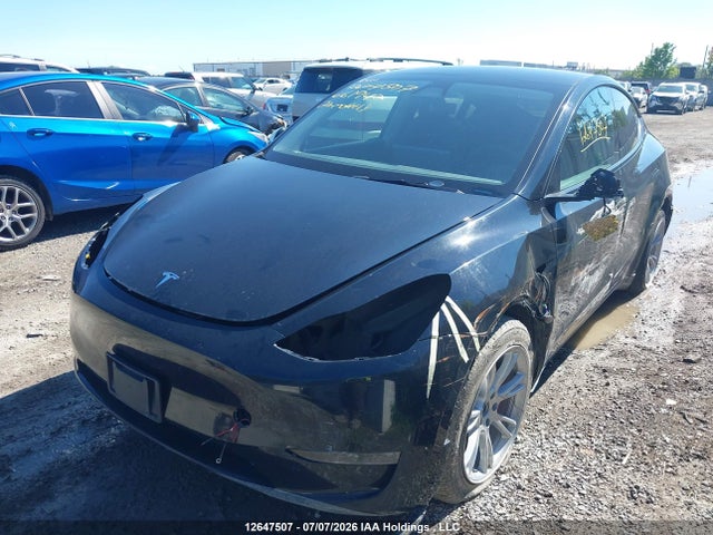 Aukcja sprzedaży 2024 Tesla Model Y Performance, vin: LRWYGDEF7RC661942, numer aukcji: 12647507