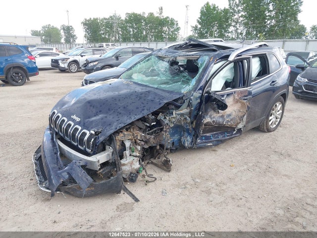 Jeep Cherokee Limited 2016 1C4PJMDS4GW339480 Image 2