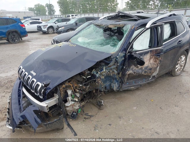 Jeep Cherokee Limited 2016 1C4PJMDS4GW339480 Image 6