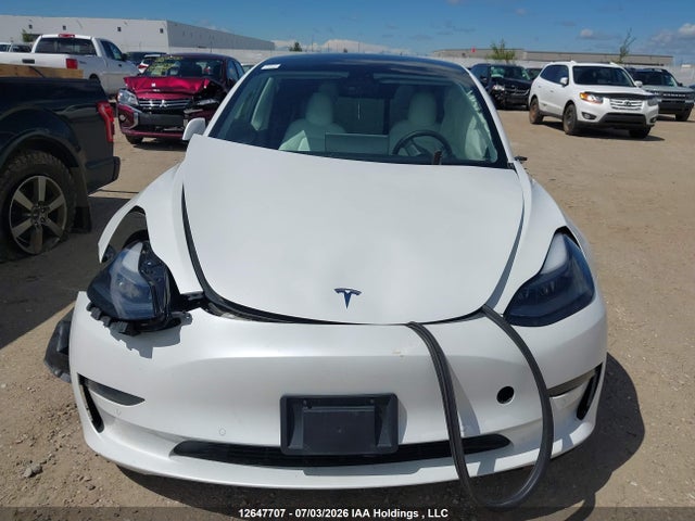 Tesla MODEL 3 2021 5YJ3E1EC9MF031469 Image 12