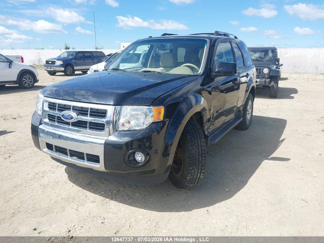 12647737 :رقم المزاد ، 1FMCU9EG7AKC39851 vin ، 2010 Ford Escape Limited مزاد بيع