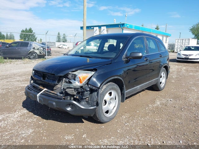 Продажа на аукционе авто 2009 Honda Cr-v, vin: 5J6RE48359L811121, номер лота: 12647738