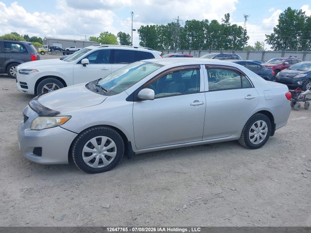 2009 Toyota Corolla მანქანა იყიდება აუქციონზე, vin: 2T1BU40E79C181004, აუქციონის ნომერი: 12647765