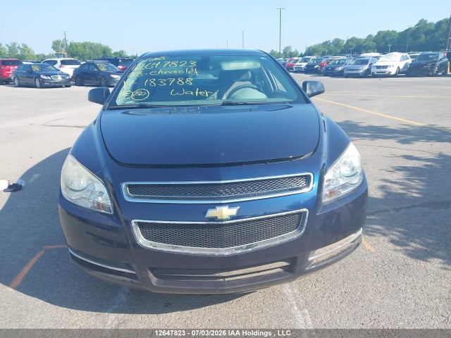 12647823 :رقم المزاد ، 1G1ZG57B38F183788 vin ، 2008 Chevrolet Malibu Ls مزاد بيع