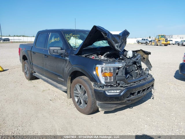 12647903 :رقم المزاد ، 1FTFW1ED2MFC13481 vin ، 2021 Ford F-150 King Ranch/lariat/limited/platinum/xl/xlt مزاد بيع