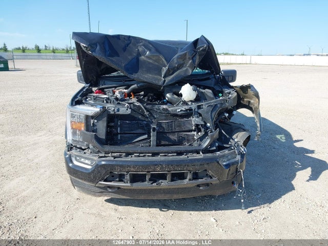 2021 Ford F-150 King Ranch/lariat/limited/platinum/xl/xlt მანქანა იყიდება აუქციონზე, vin: 1FTFW1ED2MFC13481, აუქციონის ნომერი: 12647903
