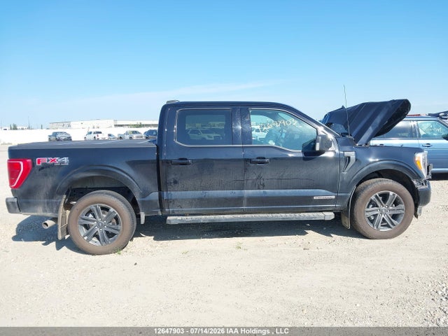 2021 Ford F-150 King Ranch/lariat/limited/platinum/xl/xlt მანქანა იყიდება აუქციონზე, vin: 1FTFW1ED2MFC13481, აუქციონის ნომერი: 12647903