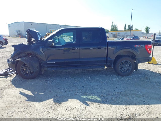 2021 Ford F-150 King Ranch/lariat/limited/platinum/xl/xlt მანქანა იყიდება აუქციონზე, vin: 1FTFW1ED2MFC13481, აუქციონის ნომერი: 12647903
