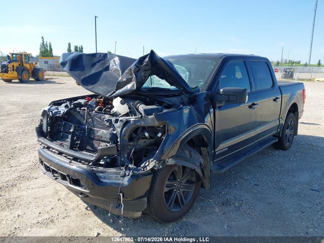 2021 Ford F-150 King Ranch/lariat/limited/platinum/xl/xlt მანქანა იყიდება აუქციონზე, vin: 1FTFW1ED2MFC13481, აუქციონის ნომერი: 12647903