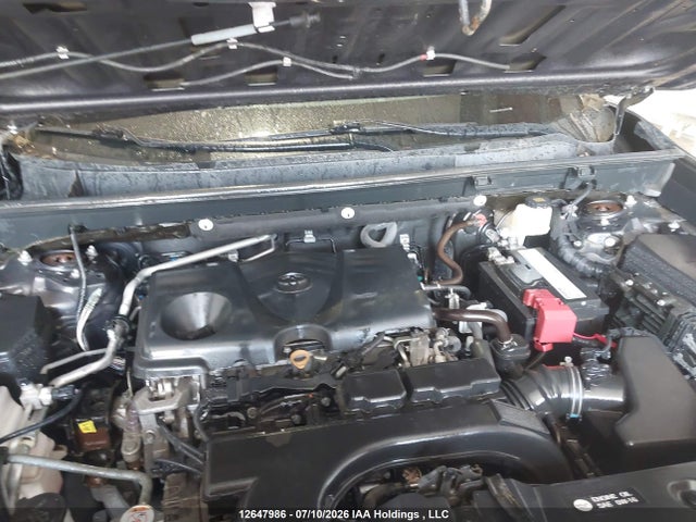Toyota RAV4 LE 2019 2T3B1RFV0KC028975 Image 10