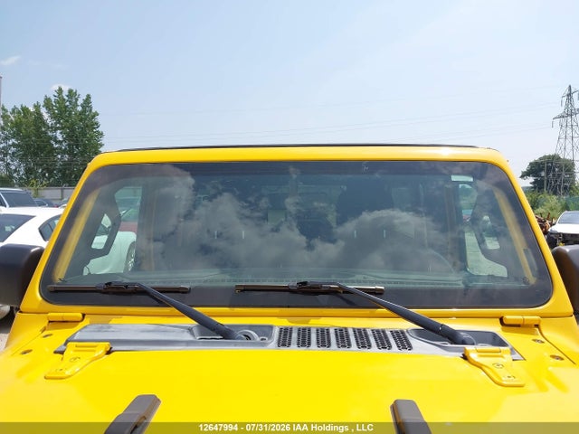 Auction sale of the 2019 Jeep Wrangler Unlimited Sahara, vin: 1C4HJXEGXKW548800, lot number: 12647994