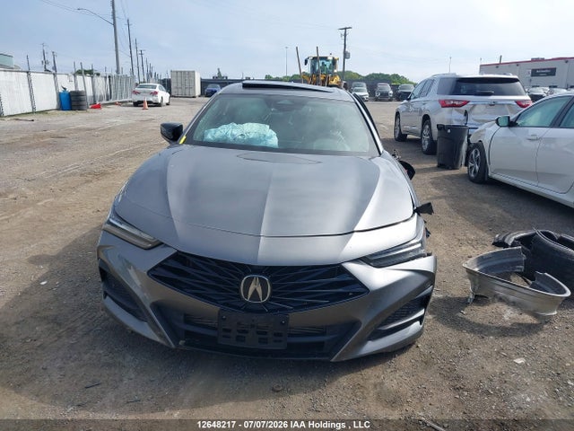 Продаж на аукціоні авто 2024 Acura Tlx, vin: 19UUB6F53RA800320, номер лоту: 12648217