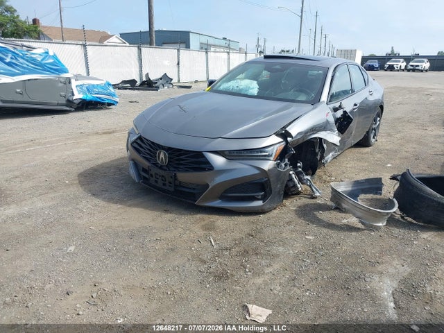Продаж на аукціоні авто 2024 Acura Tlx, vin: 19UUB6F53RA800320, номер лоту: 12648217