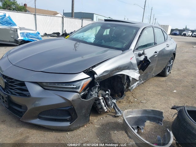 Продаж на аукціоні авто 2024 Acura Tlx, vin: 19UUB6F53RA800320, номер лоту: 12648217