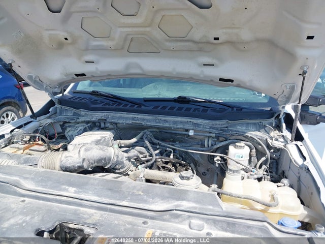 Продаж на аукціоні авто 2024 Ford F-250 Xlt, vin: 1FT7W2BN8RED52499, номер лоту: 12648258