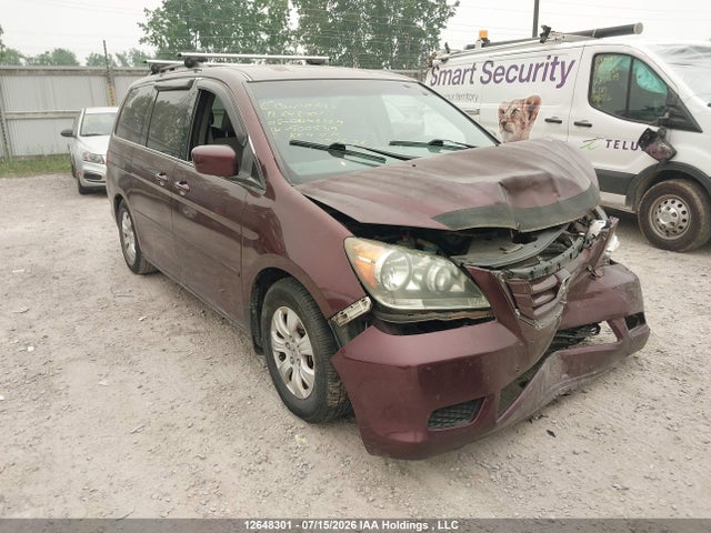 2008 Honda Odyssey Ex მანქანა იყიდება აუქციონზე, vin: 5FNRL38488B500539, აუქციონის ნომერი: 12648301