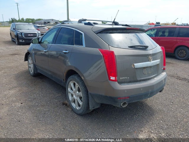 Cadillac Srx Premium 2014 3GYFNGE36ES624984 Image 3